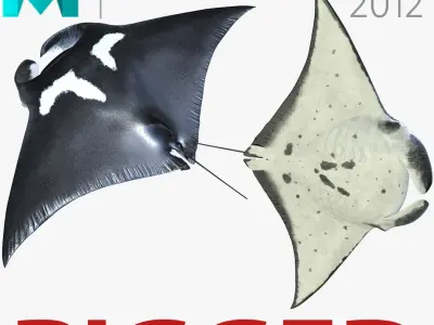 Manta Ray Rigged for Maya 3D model