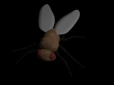 Fly Insect 3D model