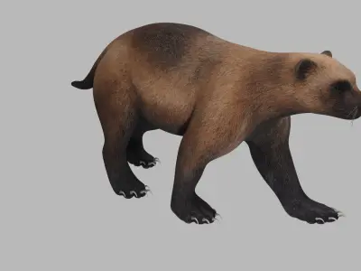 Wolverine 3D model
