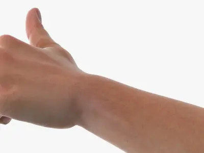 Realistic Hand Models of White Man Thumbs Up 3D model