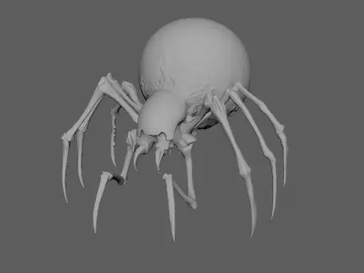 Spider 3D model 27