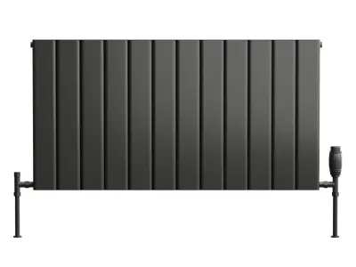 Reina Vicari Designer Radiator 3D model