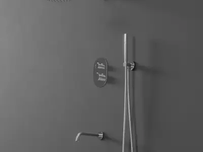  Borhn Shower Models 