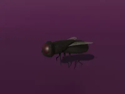 A rigged fly Low-poly 3D model