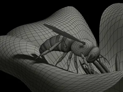 Honey Bee 3D model get