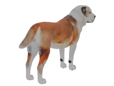 Alabai Dog Low-poly 3D model