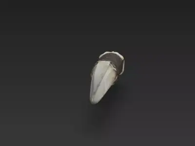 Bone Dagger of the Necromancer  Skull Pommel Ritual Knife 3D model