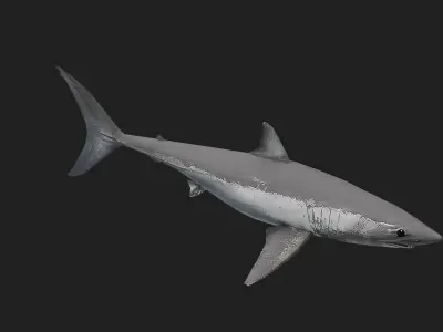Shortfinmakoshark Low-poly 3D model