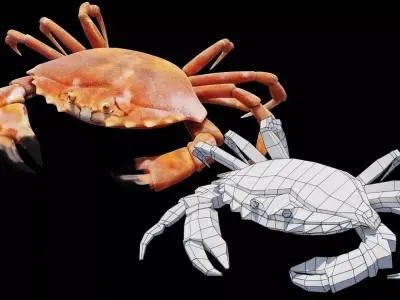 Animated Crab Low-poly 3D model