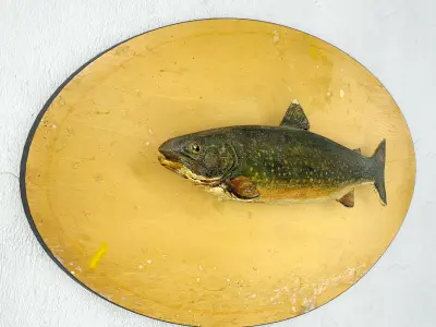 Antique Painted Carved Wood Fish Wall Sculpture 1 3D model