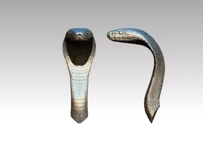Cobra Snake Head part 3D print model