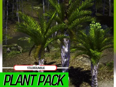 Vulnerable Plant - 6 Raphia australis Conifer Fruit Tree Low-poly 3D model
