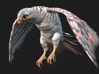 Kestrel B5 Free low-poly 3D model