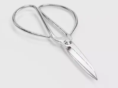 -Bonsai Scissors- 3D model