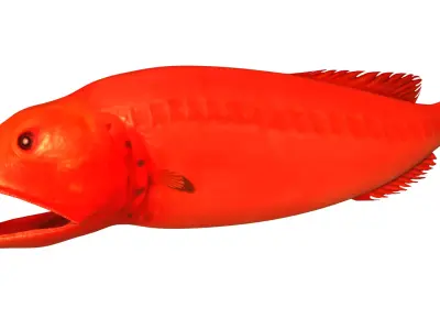 Flabbywhale fish Low-poly 3D model
