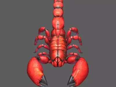 Scorpion 3D model purchase