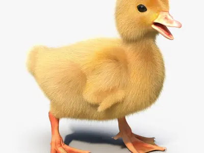  Duckling Rigged 