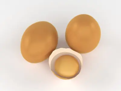 Chicken Eggs 3D model purchase