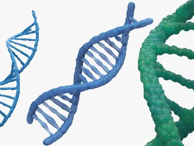 DNA Double Helix Structure Models Blue 3D model