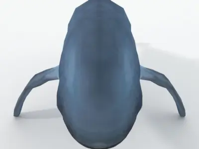 Irrawaddy Dolphin Low-poly 3D model