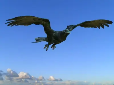 Crow modeling and rigged For 3d max Low-poly 3D model