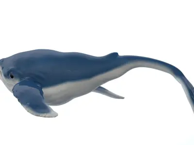 Whale Cartoon 3D model purchase