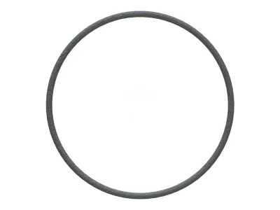O Ring Vedabras 12579 3D model