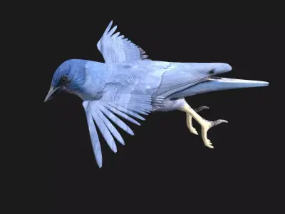 blue bird animated 3D model
