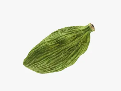 Green Cardamom Collection 3D model