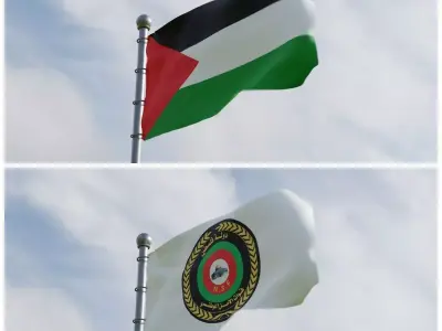 Animated Palestine Flags 3D model