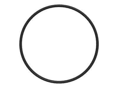 O Ring Vedabras 12317 3D model