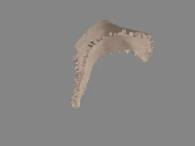 Dress collars scarves and necklaces decorated 3d models 3D model shop