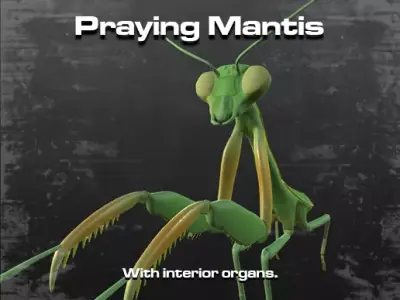 Praying Mantis 3D model