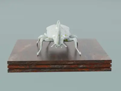 House Decoration Rhinoceros Beetle Statue Low-poly 3D model