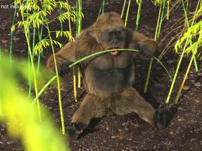 Gigantopithecus Fur Rigged 3D model
