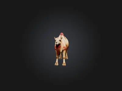 Realistic Wounded Camel Model Low-poly 3D model