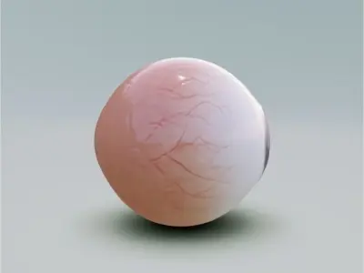 3D Eye 3D model