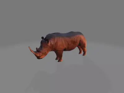 Rhino 3D model buy