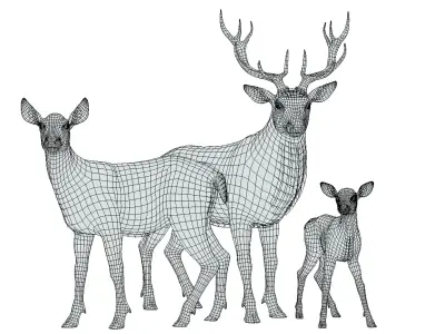 Red Deer Family 3D model