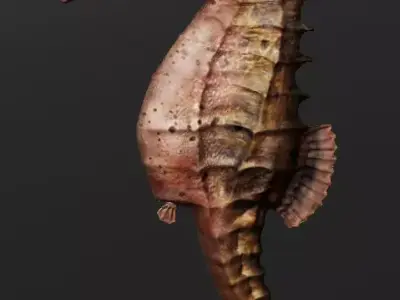 Sea horse 3D model