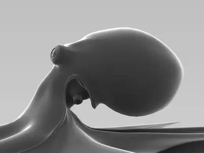 octopus Free 3D model buy