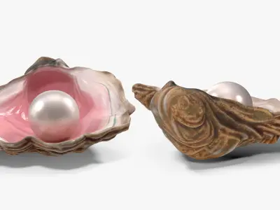 Pearl in Colored Shell 