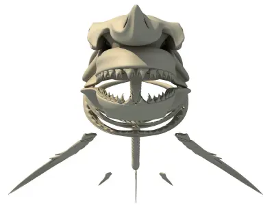 3D Sharks Skeletons 3D model