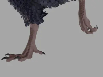 Archaeopteryx Free low-poly 3D model