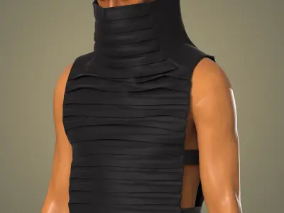 Collar Vest 3D model