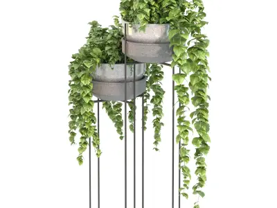 Metal Standing With Money Plant 3D model