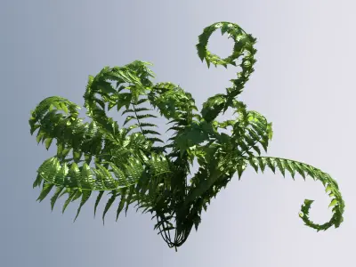 Fern ecosystems Pack 24 3D model