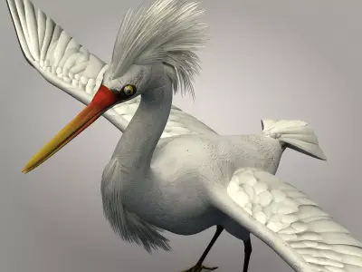 Egretta eulophotes Egret Bird Low-poly 3D model purchase