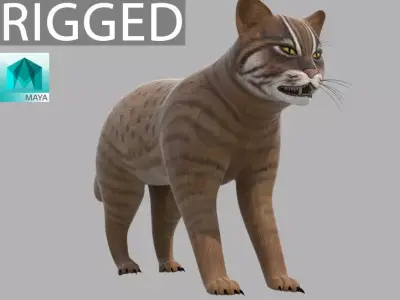 Lynx Animal 3D model