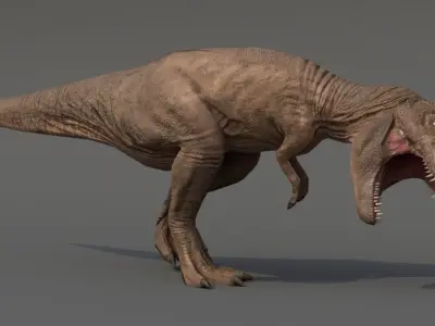Tyrannosaurus Rex Low-poly 3D model order